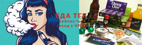индика Мегион