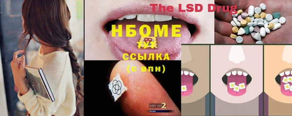 прущие грибы Абинск