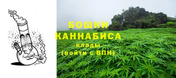 сатива Абаза
