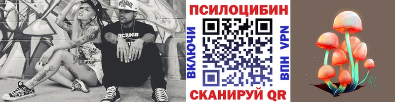 Галлюциногенные грибы Cubensis  блэк спрут как зайти  Шадринск 